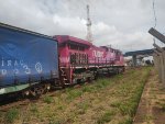 RUMO 608